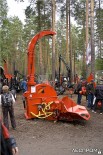 ����������� ������ Farmi Forest