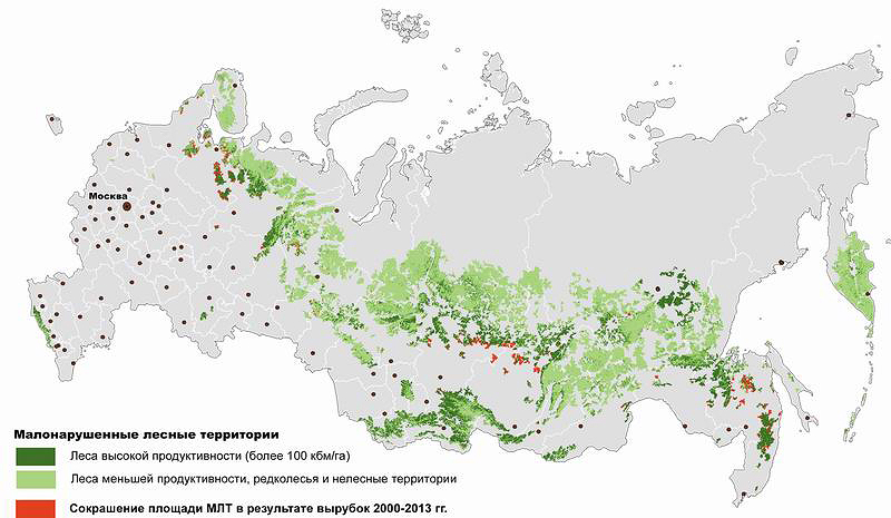 Рис. 2. Динамика площади малонарушенных лесных территорий России в результате рубок (2000–20013 годы)