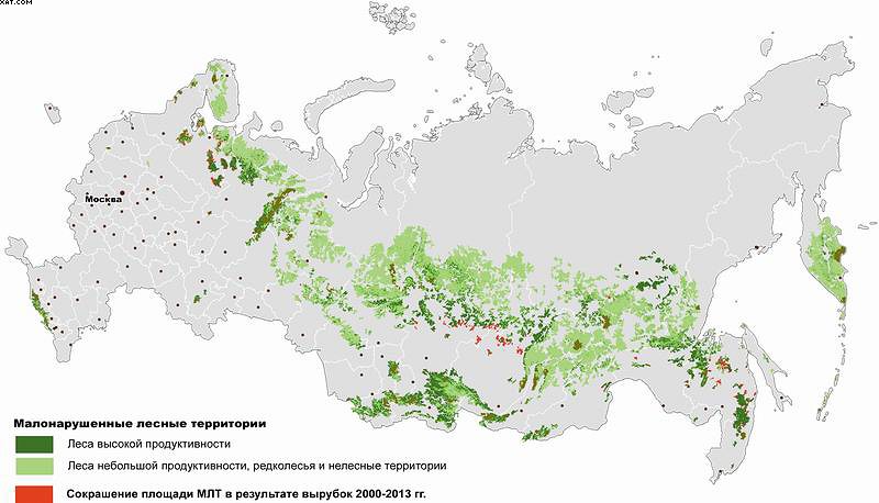 Рис. 4. Вырубленные участки малонарушенных лесных территорий в России (2000–2013 годы)