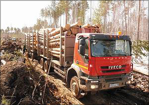 Типичные лесовозные дороги-усы (Россия), погрузка заготовленной древесины, транспортировка пиловочника на производство. Фото: Матиас Пекканен, Indufor 