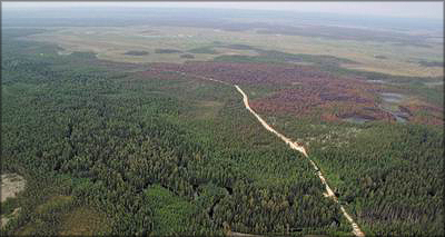 Фото 1. Справа от лесовозной дороги видна гарь антропогенного происхождения (тайга на севере Западной Сибири) 
