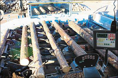 Рис. 11. Вид из кабины оператора на участке оценки бревен на лесопильном заводе компании Siljan, Швеция 