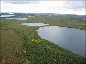 Комбинатские озёра Парабельского и Колпашевского районов