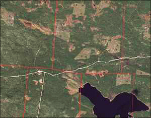 Рис. 3. Снимок лесного участка в натуральном цвете для нанесения на карту дорог (квартальные границы выделены красным)