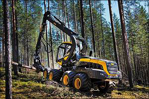 Число импортной техники на делянках российских лесов в последние годы растет быстрыми темпами