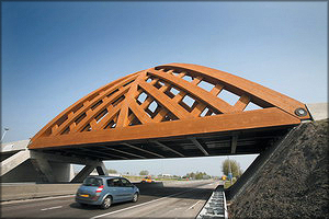 Рис. 13. Мост в Нидерландах из древесины Accoya