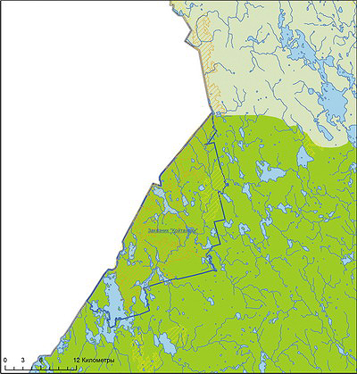 Рис. 3. Пример объекта национального лесного наследия II приоритета (МЛМ) в средней части Республики Карелия (зона среднетаежных лесов)