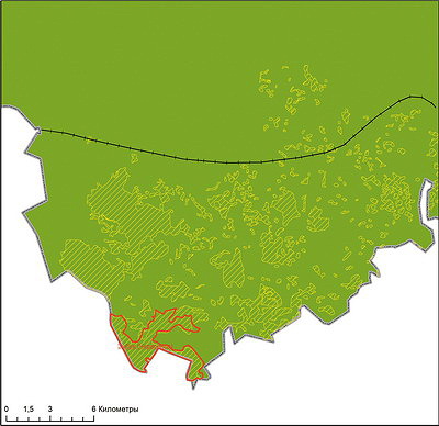 Рис. 4. Пример объекта национального лесного наследия III приоритета (ФЛМ) в южной части Вологодской области (зона подтаежных лесов) 
