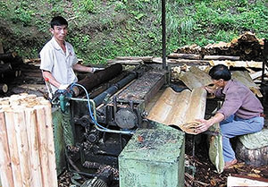 Рис. 1. Производство шпона на типичном китайском деревенском заводике  