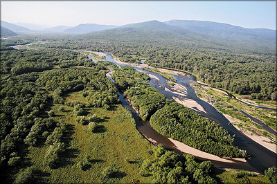 Малонарушенные леса в бассейне реки Самарги, Приморский край