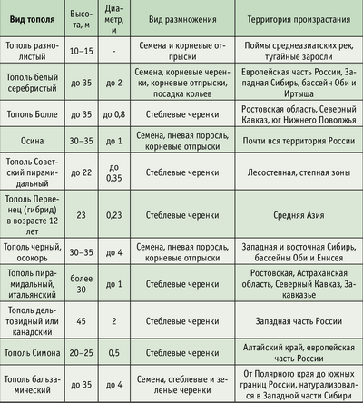 Таблица 1. Основные виды тополя, распространенные на территории России