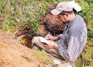 Почвовед-ландшафтовед Артем Столповский проводит почвенный разрез для определения структуры почвы