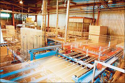 «UPM Чудово». Финская компания UPM Group эксплуатирует один из самых современных заводов по производству березовой фанеры в Новгородской области