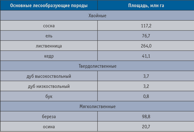 Таблица 4. Площади основных лесообразующих пород в РФ