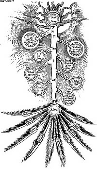 Перевернутое дерево. Гравюра из книги Р. Флудда «Священная философия и христианская вера». 1626 г.