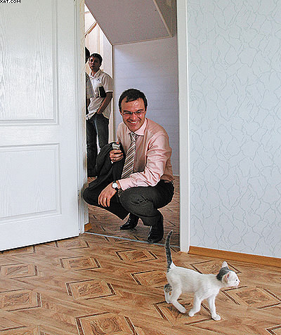 Рис. 3. Внутреннее и внешнее убранство домов в Ростовской области 