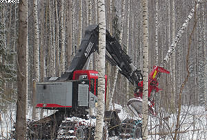 1 этап. Заготовка леса с помощью валочно-пакетирующих машин TimberPro. Можно применять как колесные, так и гусеничные машины в зависимости от условий эксплуатации