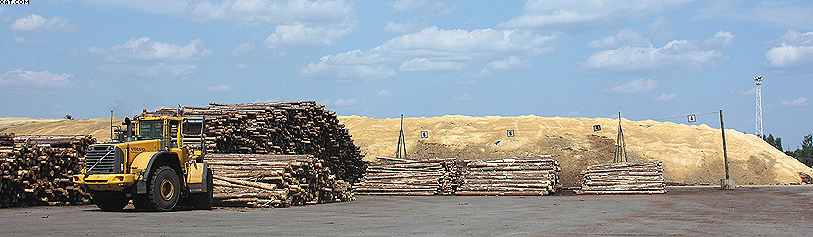 Склад сортированных лесоматериалов и зимний склад (на заднем плане)