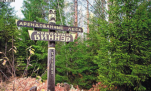 Леса компании «Виннэр» в Выборгском районе Ленинградской области