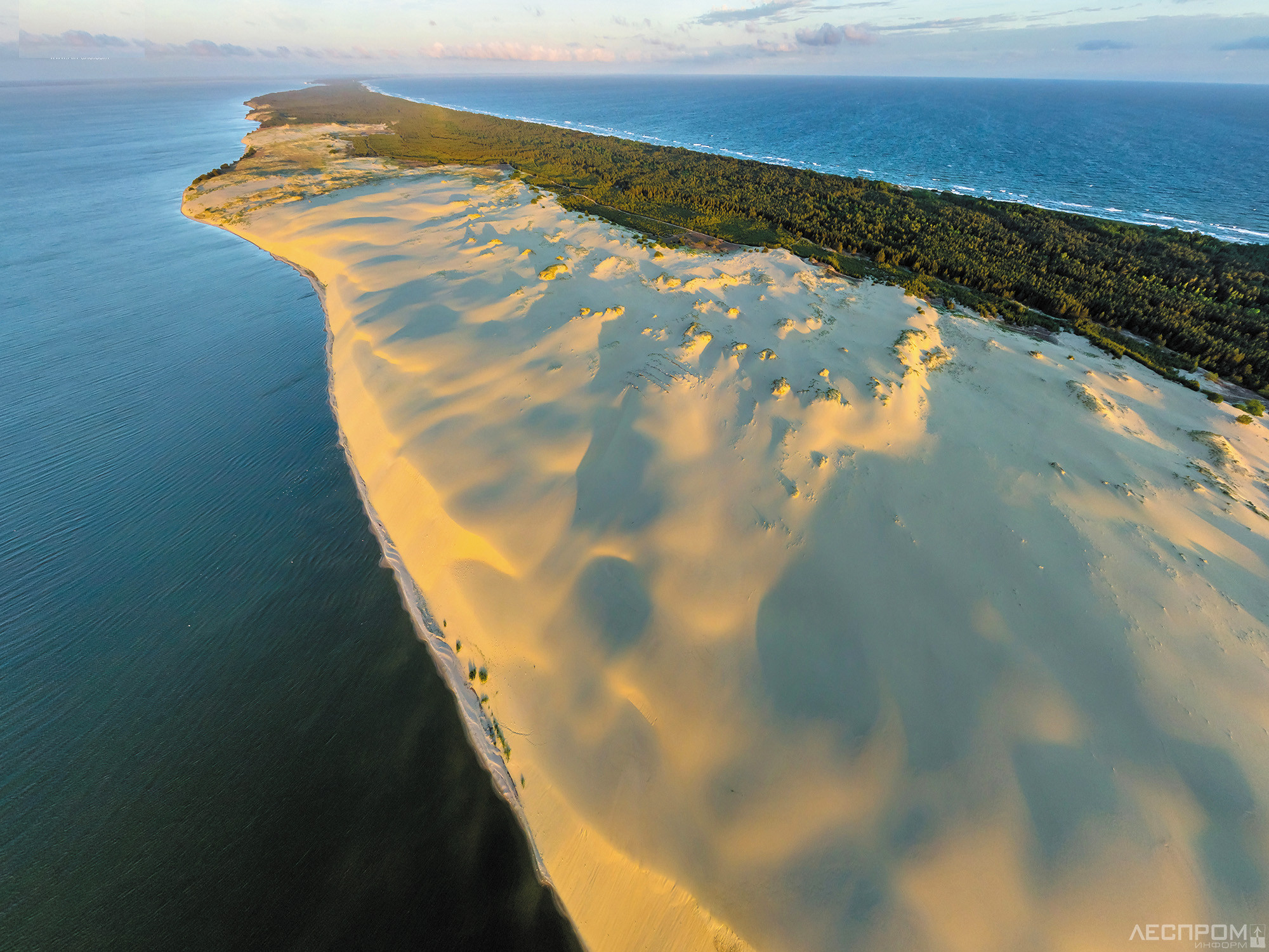 дюны балтийского моря