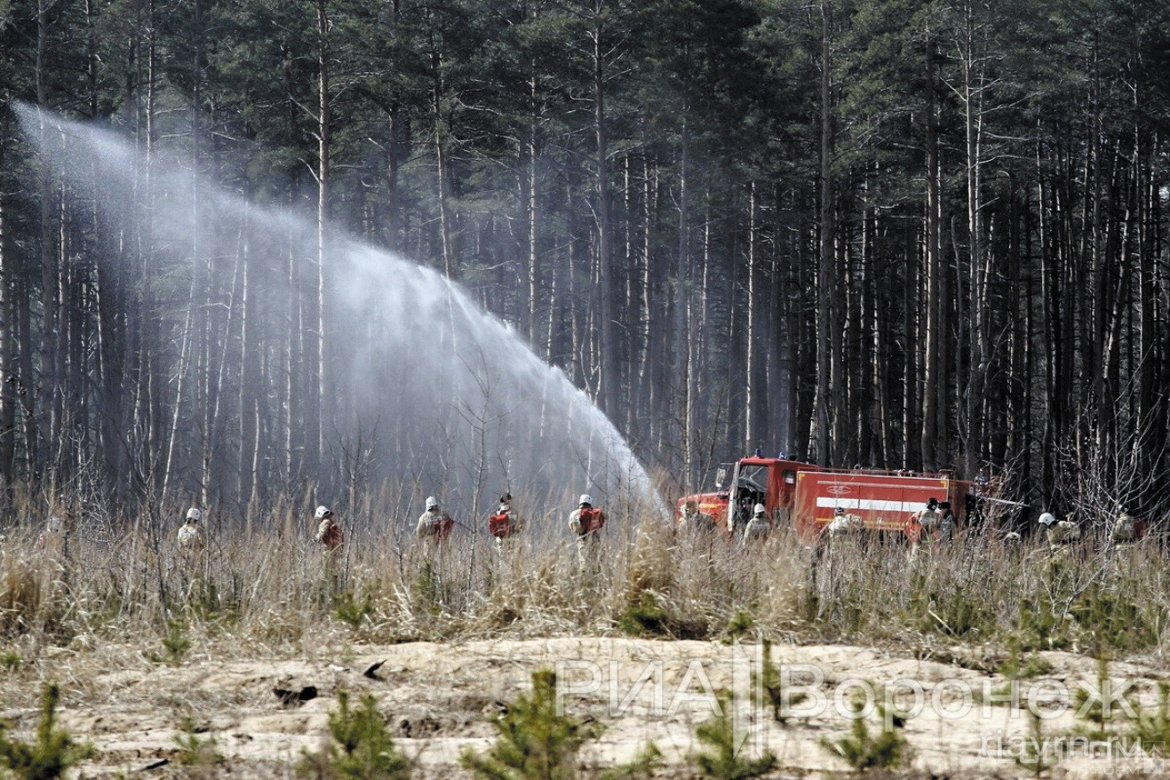 Использование воды для пожаротушения. Ликвидация лесных пожаров. Тушение лесных пожаров. Ликвидация пожара в лесу. Технология тушения лесных пожаров.