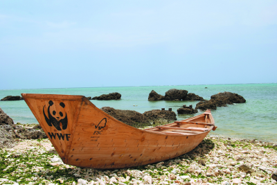 WWF Boat Sabani (Япония)