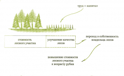 Рис. 2. Содержание лесоводственной деятельности (лесовосстановление и рубки ухода)