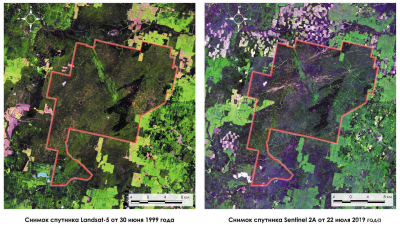 Слева: снимок спутника Landsаt-5 от 30 июня 1999 года, справа: снимок спутника Sentinel 2А от 22 июля 2019 года