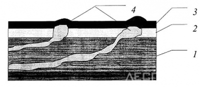 Рис. 3. Общепринятая схема покрытия: 1 – древесина; 2 – грунт и (или) шпатлевка; 3 – покрывной слой ЗДП; 4 – смола (смоляные ходы)