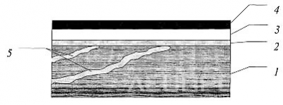 Рис. 5. Предлагаемая схема покрытия: 1 – древесина; 2 – слой изолирующего (барьерного) грунта; 3 – шпатлевка; 4 – финишное покрытие ЛКМ; 5 – смола (смоляные ходы)