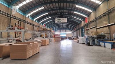 Завод MDF