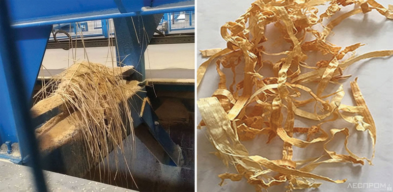 Рис. 2. «Стружка» на элементах лесопильной линии