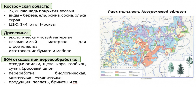 Рис. 1. Характеристика Костромской области