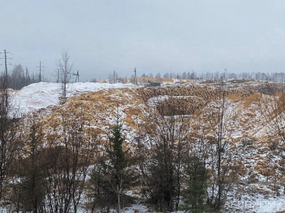 Рис. 1. Ненадлежащее хранение древесных отходов