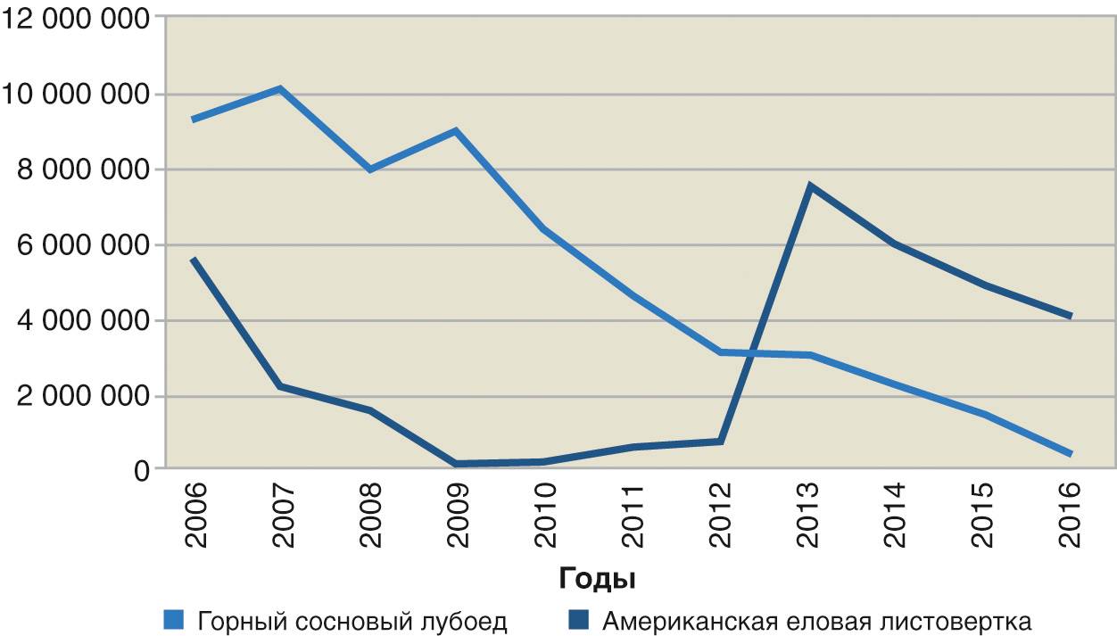Реферат: Экологические проблемы лесного сектора России: породы деревьев, экосистемы, территории