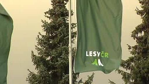 Lesy CR («Леса Чешской Республики») 