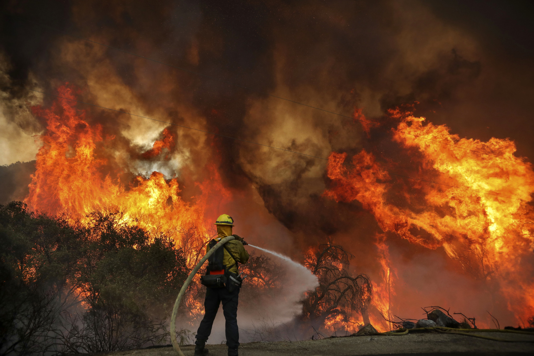 Лесные пожары в США В 2021