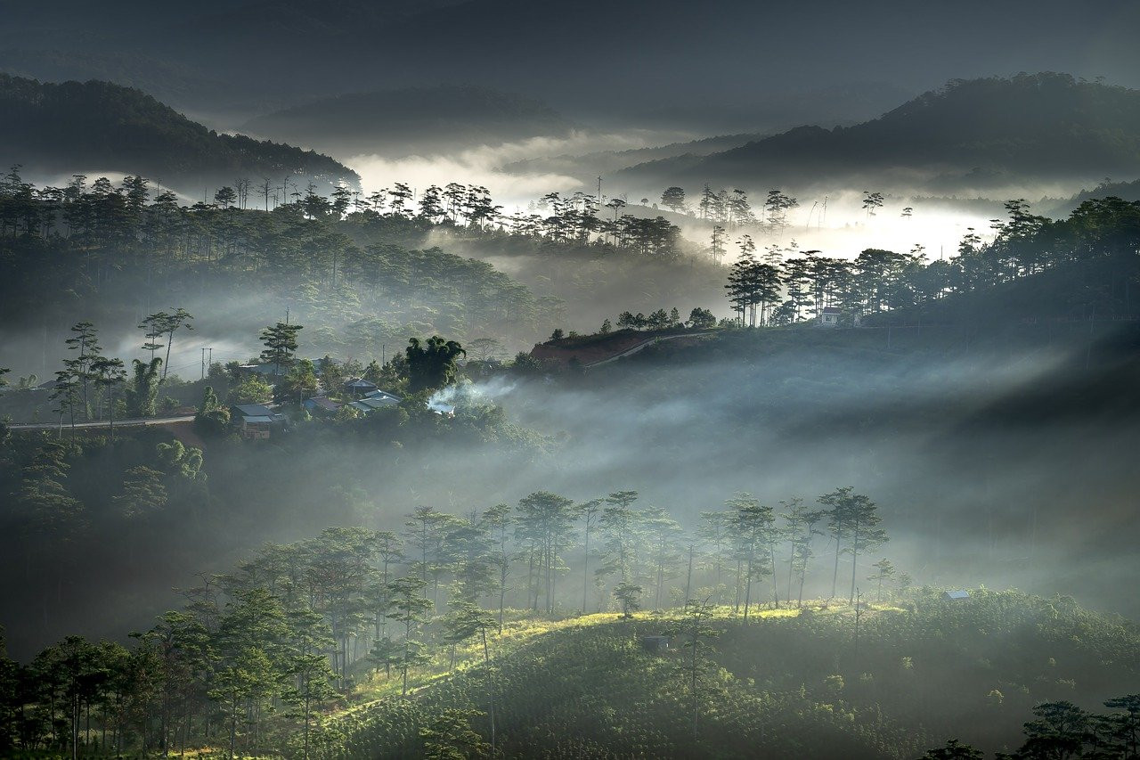 Пейзаж Вьетнам туман