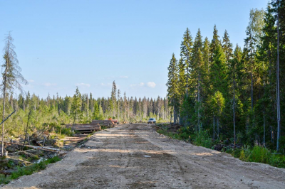 Строительство лесной дороге к р. Вашка