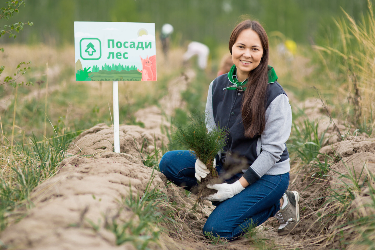 Волонтеры леса проект