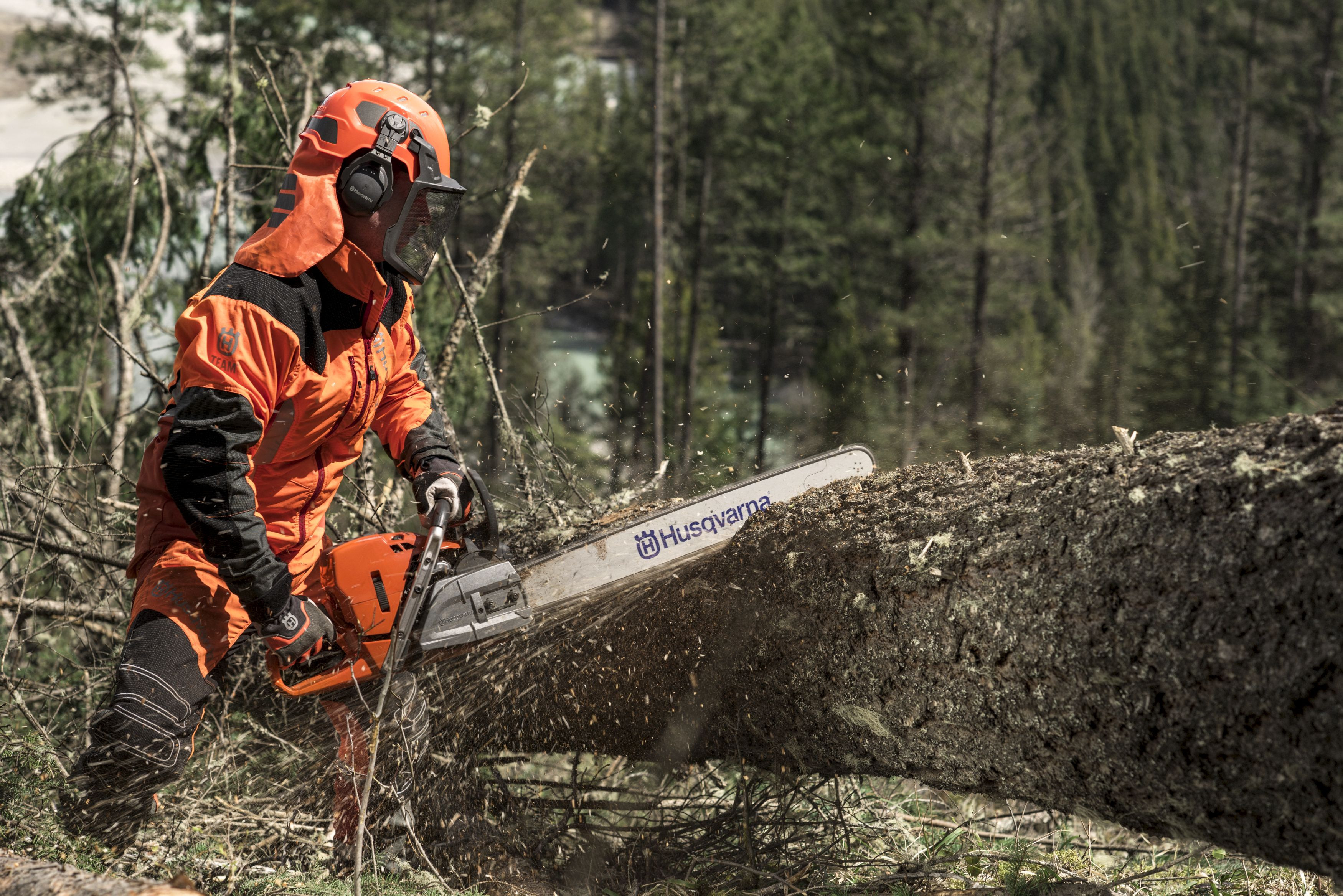 Эксперты компании Husqvarna поделились рекомендациями по правильной валке  деревьев