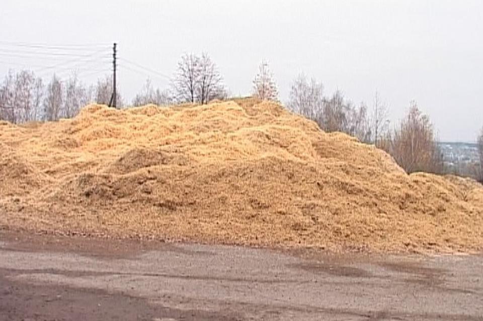 Сырые опилки. Гора опилок. Древесный опил. Опилки стружка. Куча опилок.